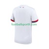 Tenue Paris Saint-Germain Exterieur 2025-2026 Maillot de Foot